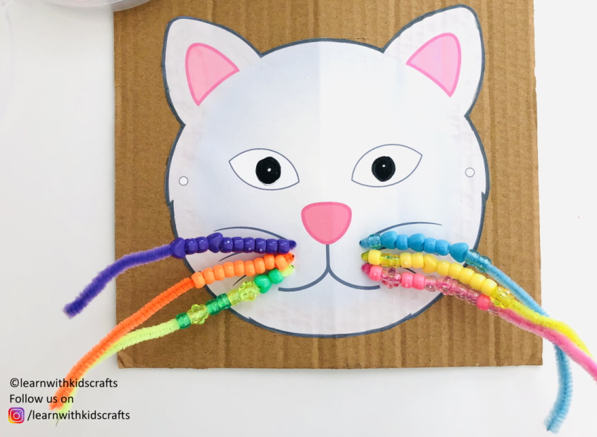 Cat Whiskers