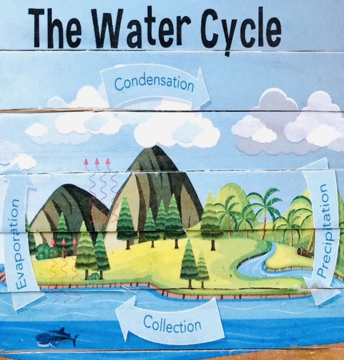 The Water Cycle